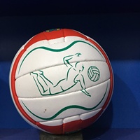 Ballon de football personnalisé SWSCORP, taille 5, mini, brillant, en PVC thermocollé, cousu main, durable et léger – Offre spéciale à prix réduit