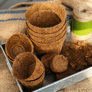 Pot en fibre de coco écologique pour jeunes plantes, semis et décoration moderne des espaces verts - Product Image 2