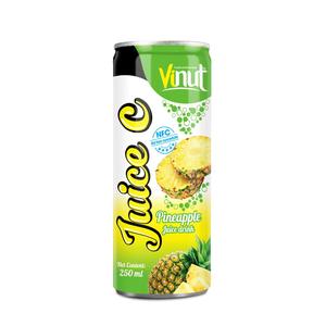 Jus d'ananas Fabricant de boissons de marque privée OEM ODM Formulation personnalisée Usine du Vietnam Bouteille 250ml pour animaux de compagnie 24 par carton - Product Image 1