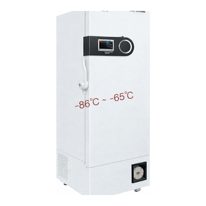 Congelador ULT Daihan Science SciLab de -86 °C a -65 °C con Monitoreo WiFi, Interior de Acero Inoxidable, Almacenamiento Vertical de Vacunas - Product Image 3