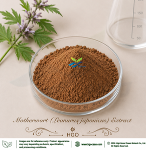 Extrait d'agripaume (Leonurus japonicus Houtt.) fourni directement par l'usine HGO Extraction d'eau (qualité alimentaire) / Extraction d'alcool - Product Image 1