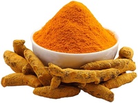Épices jaunes simples de doigt de curcuma indien pur de haute qualité pour le thé Masala et les produits de santé séchés de source d'agriculture