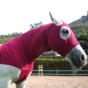 Cubrecuello Elástico con Cremallera para Caballos, Cubre Orejas y Cara Completa, para Deportes Ecuestres, Carreras, Equitación, Poliéster, Venta al Por Mayor - Product Image 2