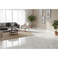 Céramique en porcelaine vitrifiée 600 x 600 mm (2 x 2 pieds) 600 x 1200 mm (2 x 4 pieds) 800 x 1600 mm Carreaux vitrifiés émaillés (GVT)