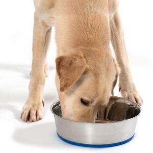 Prix d'usine : Bols portables robustes en acier inoxydable avec base en caoutchouc pour chiens et chats - Product Image 1