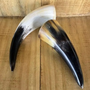 Natural Buffalo Horns <b>Raw</b> Animal Shape Art Collectible Decorative Craft Material - Product Image 2