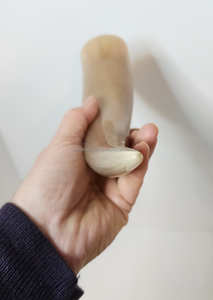 Tasse à corne à vin Viking d'inspiration médiévale authentique Design en laiton naturel écologique - Product Image 4