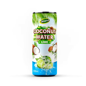 Eau de coco naturelle au citron vert 500ml, boisson en conserve, OEM ODM, marque privée, vente en gros, fabricant de boissons vietnamien, fournisseur B2B - Product Image 1