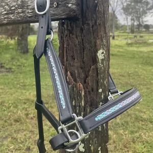 Licol de qualité supérieure pour l'équitation anglaise de style western, en cuir véritable, accessoire de selle, modèle AL RAHEEM INTERNATIONAL - Product Image 1