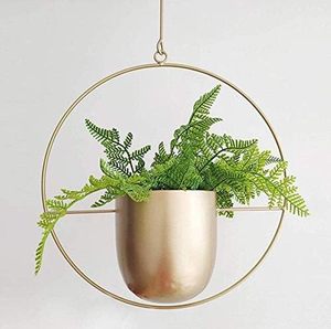 Cratone <b>Hanging</b> Plant Hanger Metal Gold <b>Hanging</b> <b>Basket</b> Ceiling <b>Hanging</b> Planter for Indoor Plants Succulent Plants Air Plants - Product Image 1