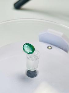 Esmeralda Zambiana natural ovalada de 1.53 ct, color verde premium, excelente brillo, piedra preciosa natural de calidad fina para coleccionistas. - Product Image 3