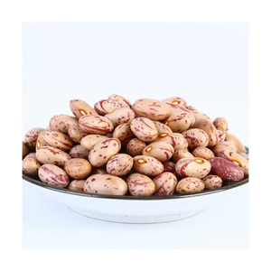 Frijoles de riñón ligeros con granos pequeños de calidad de exportación disponibles para comercio al por mayor y socios comerciales en todo el mundo - Product Image 3