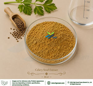 Suministro Directo de Fábrica HGO, Extracto de Semilla de Apio (Apium graveolens L.) (Grado Alimenticio), Extracto en Proporción 4:1 5:1 10:1 20:1 100:1 200:1 - Product Image 1