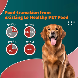 Nourriture sèche pour chiens et chats de qualité supérieure OEM, formule naturelle riche en protéines, biologique, nutrition complète et équilibrée, soutien immunitaire, santé de la peau et du pelage - Product Image 4
