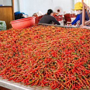 PIMENTS ROUGES CRU EN GROS - SPÉCIALE EXPORT - PIMENTS ÉPICÉS DE QUALITÉ - ORIGINE VIETNAM - DURÉE DE CONSERVATION 24 MOIS - MS ALINA - Product Image 5
