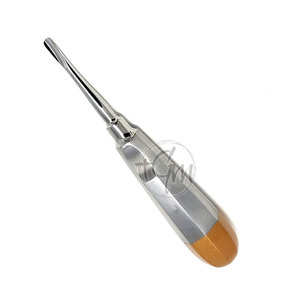 Élévateur de racine robuste en acier inoxydable durable, instrument chirurgical dentaire pour les procédures d'extraction et d'élévation dentaire - Product Image 3
