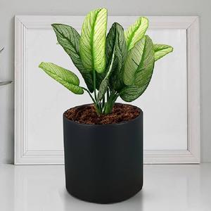 Maceta de Metal de Diseño Moderno, Florero Decorativo para el Hogar y la Sala de Estar, Macetero Decorativo con Diseño Floral Hecho a Mano - Product Image 5