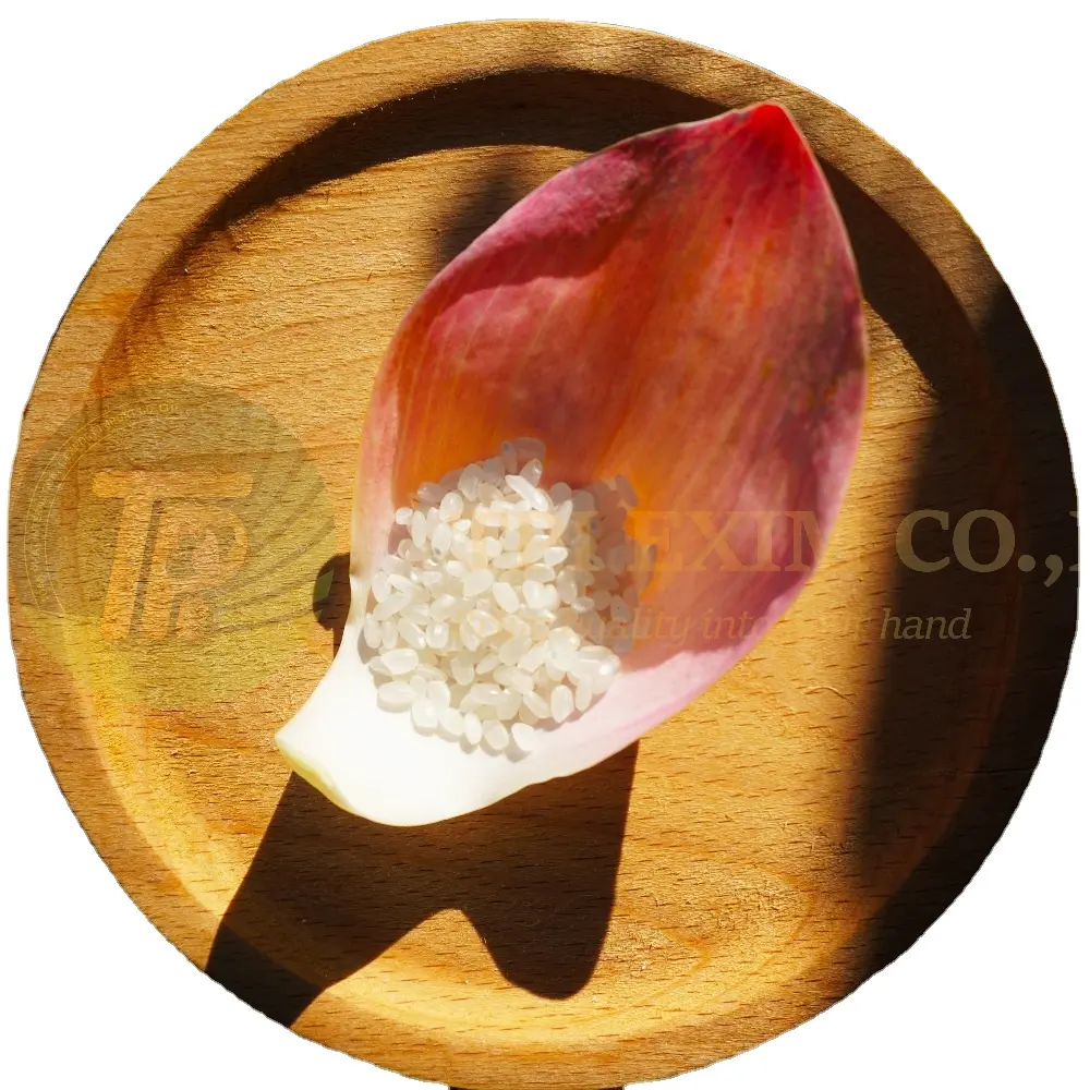 Premium Vietnamese Organic Japonica Rice - Best Quality Round Grain White Rice for Export, Vietnamese Rice