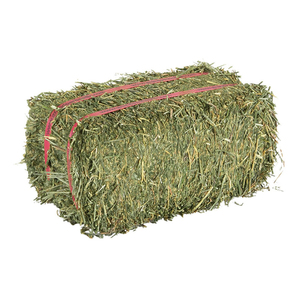 Heno de Alfalfa de Alta Pureza al por Mayor, Venta Directa de Fábrica, Baja Humedad, Alto Contenido de Proteínas - Product Image 5
