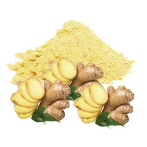 <b>Ginger</b> Root Extract <b>Powder</b> Botanical Herbal Ingredient Factory Direct Bulk Wholesale Export Quality - Product Image 1
