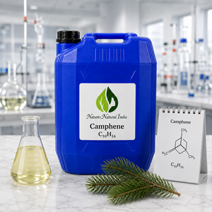 Aceite Esencial de Alcanfor Natural de la India, 100% Puro, Destilado al Vapor, Aroma a Madera de Pino, Para Todo Tipo de Piel - Product Image 5