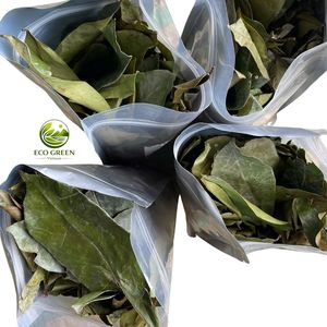 ใบกระเจี๊ยบแห้งแบบเป็นชุด ชาสมุนไพรอันโนน่า มูริคาตา ออร์แกนิก ชาใบชาธรรมชาติ สำหรับไลฟ์สไตล์เพื่อสุขภาพ - Product Image 5