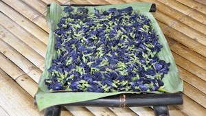 Thé aux fleurs de pois papillon en sachets, infusion naturelle bleue aux herbes, thé santé amincissant, saveur biologique d'Asie du Sud-Est, Vietnam - Product Image 2