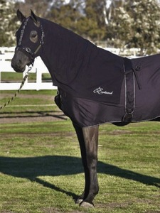 Fabricante de Productos Ecuestres, Proveedor de Productos para Caballos, Manta de Exterior 600D, Combinación de Algodón y Cuello, Mantas Impermeables para Caballos - Product Image 5