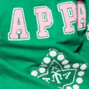 Sweat-shirt à col rond pour femme AKA Sorority Inc, design au dos en chenille verte, lettres grecques brodées, haut de gamme - Product Image 4