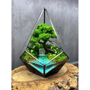 <b>Clear</b> Glass Black Metal Contemporary Handicraft Durable Framed Terrarium Planter <b>Vase</b> for Living Room Luxury Home Table Decor - Product Image 3