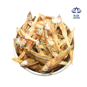 ปลาแอนโชวี่แห้งคุณภาพดีที่สุด ผลิตภัณฑ์อาหารทะเลเวียดนาม ปลาแห้งธรรมชาติ รสชาติเข้มข้น ปลาตัวเล็ก เหมาะสำหรับอาหารแบบดั้งเดิม - Product Image 1
