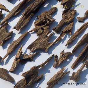 ไม้กฤษณา HUFA OUD HP-AN2 คุณภาพเยี่ยม ชิปไม้กฤษณาธรรมชาติจากเวียดนาม ไม้กฤษณาแท้ 100% ราคาสมเหตุสมผล - Product Image 6