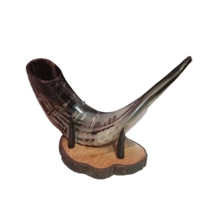 Cuerno de carnero pulido Shofar Tamaño mixto Estilo animal Artesanías naturales hechas a mano - Product Image 1