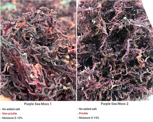 Wild Harvested Ninh Thuan Purple <b>Sea</b> <b>Moss</b>-100% <b>Sea</b> <b>Moss</b> Dried 99 Gold Data Brand for Health - Product Image 3