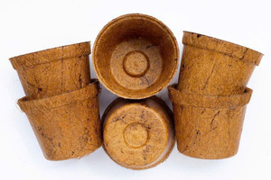 Pot en fibre de coco PureGrow, innovation durable pour le jardinage - Product Image 3