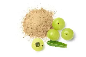 Poudre d'Amla séchée par pulvérisation de qualité supérieure, extrait de fruit d'Amla, vente en gros au meilleur prix - Product Image 4