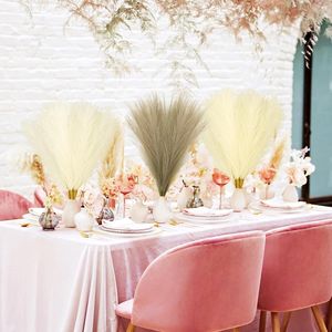 30 Pezzi di Erba della Pampa Artificiale Corta e Soffice da 55 cm, Steli Colorati per Riempimento Vasi e Composizioni Floreali - Product Image 3