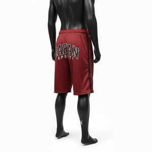 Pantalones cortos de malla de poliéster premium para hombre, tela transpirable GSM, paneles laterales en contraste, logotipo bordado personalizado, pantalones cortos de malla para entrenamiento. - Product Image 5