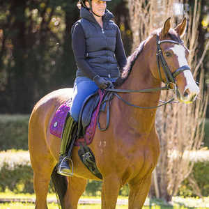 Chaleco de invierno funcional acolchado sintético de alto rendimiento con cremallera bidireccional, bolsillos de mano de nailon, chalecos para montar a caballo para jinetes - Product Image 5
