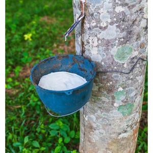 High Ammonia Natural White Latex <b>Rubber</b> for Dipping <b>Products</b> Medical Supplies and Commercial Manufacturing Industries - Product Image 1