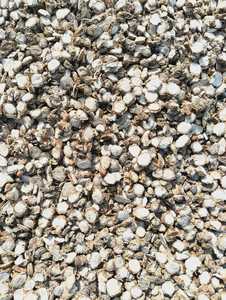 ผงสกัดรากเซโดอารีบริสุทธิ์ (Curcuma Zedoaria) สารสกัดสมุนไพรขมิ้นขาวธรรมชาติพรีเมียม เกรดอาหาร สำหรับดูแลสุขภาพ - Product Image 3