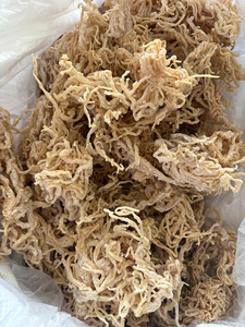 Algas Marinas Secas Eucheuma Cottonii Premium, Algas Rojas Naturales para la Producción de Carragenano e Ingredientes Alimentarios - Product Image 4