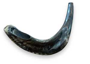 Shofar de Cuerno de Carnero Natural de Alta Calidad, Kosher, para Tocar en Rosh Hashanah, Pulido - Product Image 5