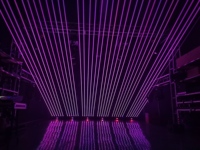 Luz Láser RGB de 6 Ojos en Oferta, Efecto de Lluvia de Láser de 6 Colores, Control DMX512 para Escenarios, Bares, DJ y Discotecas