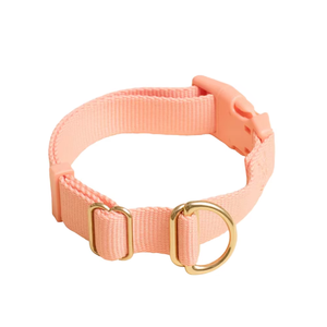 Collier pour chien en nylon réglable de qualité supérieure avec anneau en D doré, boucle de couleur personnalisée, collier pour animal de compagnie minimaliste de créateur, vente en gros - Product Image 1