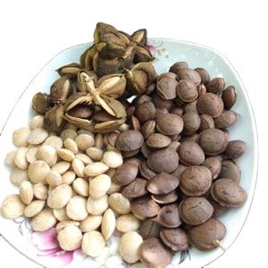 TOP EXPORTACIÓN NUECES PUROS INCA EN 2024 - Product Image 1