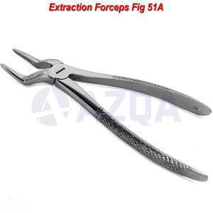 Forceps d'extraction dentaire en acier inoxydable pour molaires inférieures, pinces chirurgicales dentaires pour usage professionnel en chirurgie buccale - Product Image 6