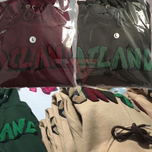 Sudadera con Capucha para Hombre, de Alta Calidad, Ecológica, Resistente al Viento, Transpirable, Personalizada al por Mayor, Tejido Grueso de Algodón y Felpa, Tallas Grandes - Product Image 2