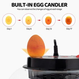 US 12 Egg Incubator with LED Egg Candler Automatic Egg Turning Temperature & Humidity Control Auto Water Addition Hatc - Product Image 6