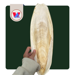 Hueso de Sepia Natural Blanqueado Disponible, 12-15cm, Hueso Seco para Aves, Juguete Masticable para Recortar el Pico de Loros, Venta al por Mayor - Product Image 1